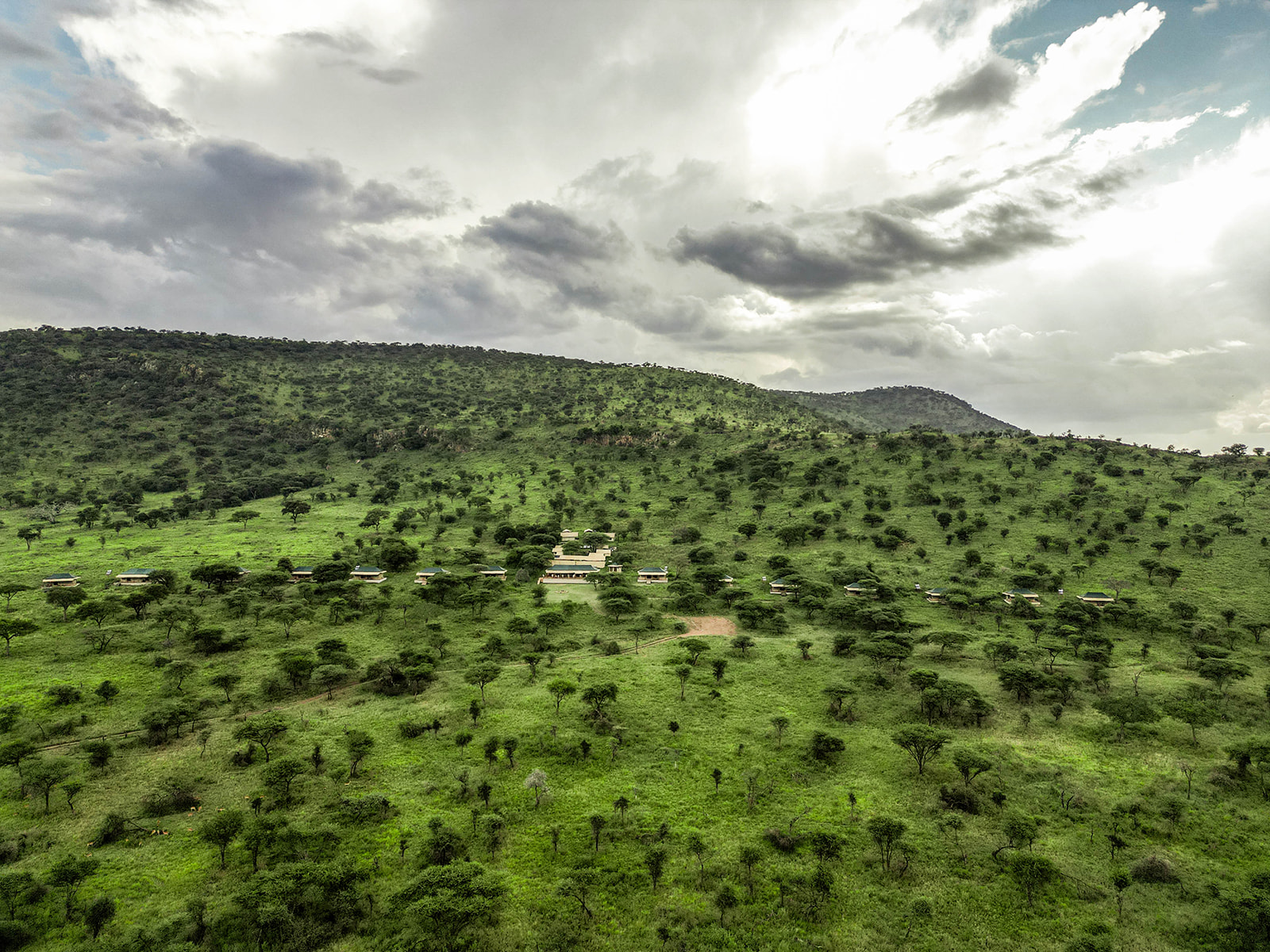 Serengeti Pure Tented Camp